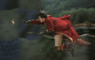 d.gif